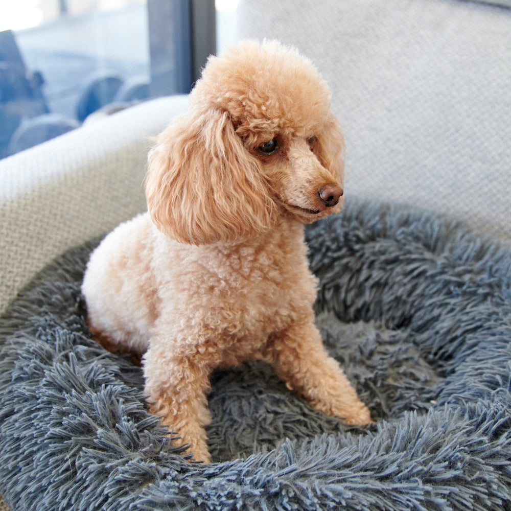 Anti-Anxiety Pet Bed