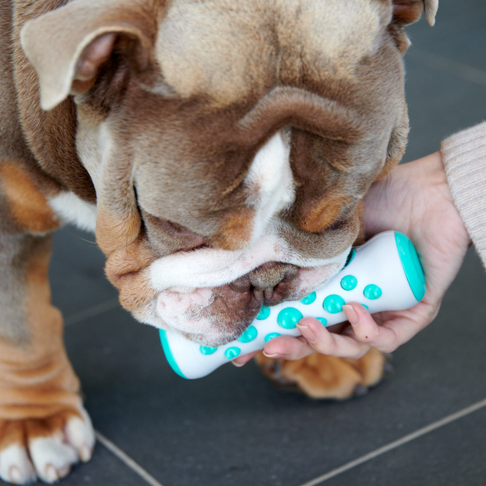 Dog Dental Chew Toy