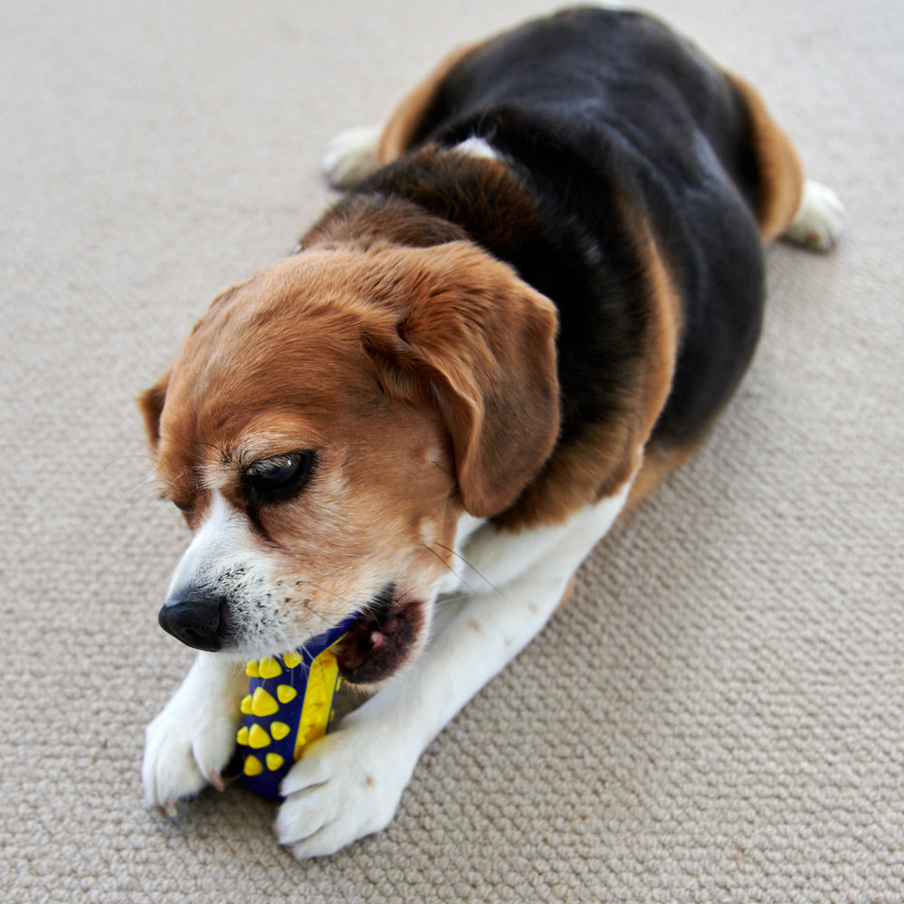 
                  
                    Dog Dental Chew Toy
                  
                