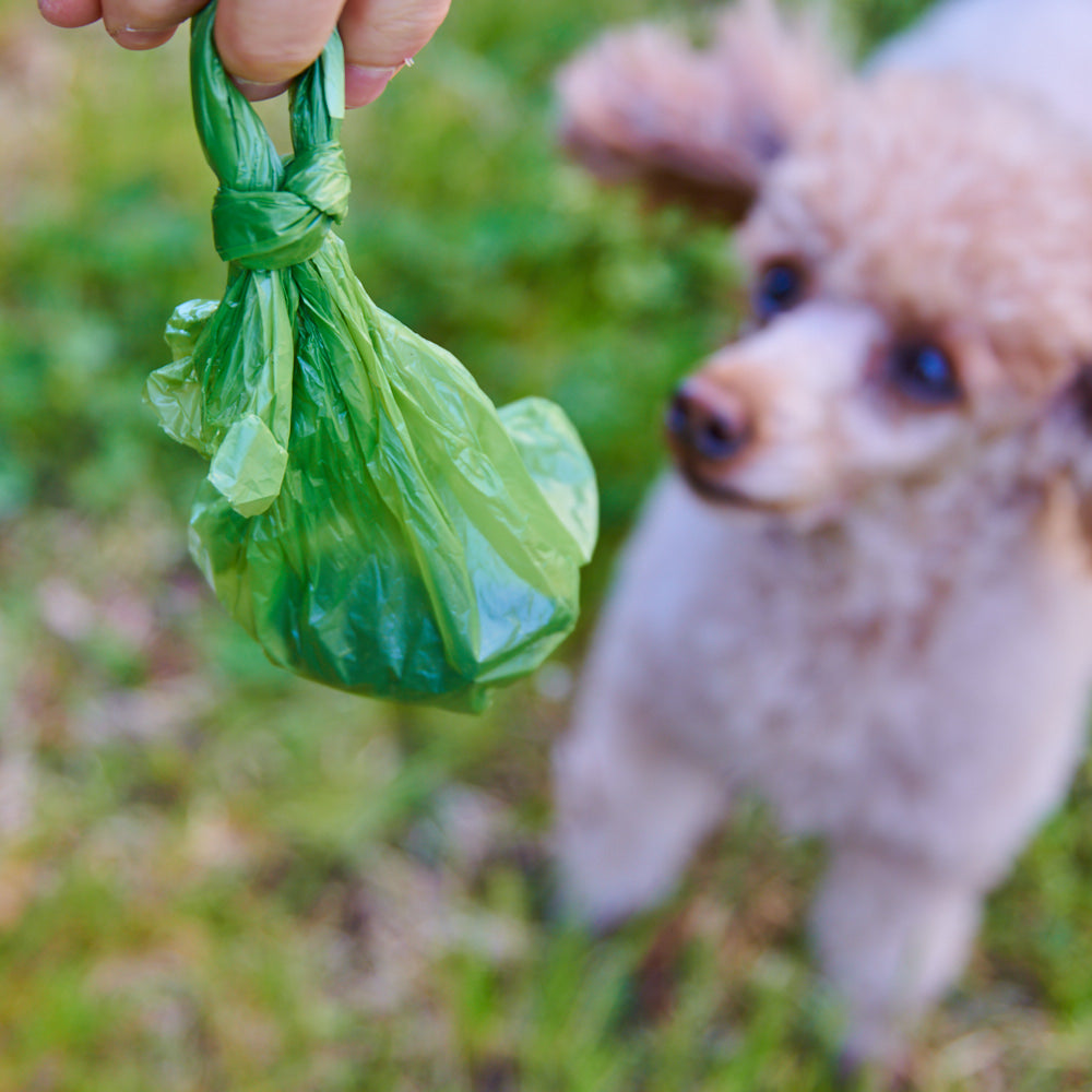 
                  
                    Biodegradable Pet Poop Bags
                  
                