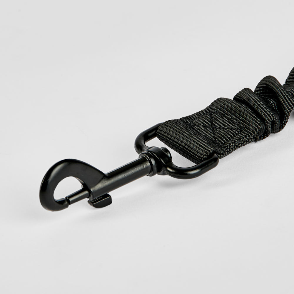 Dog Seat Belt