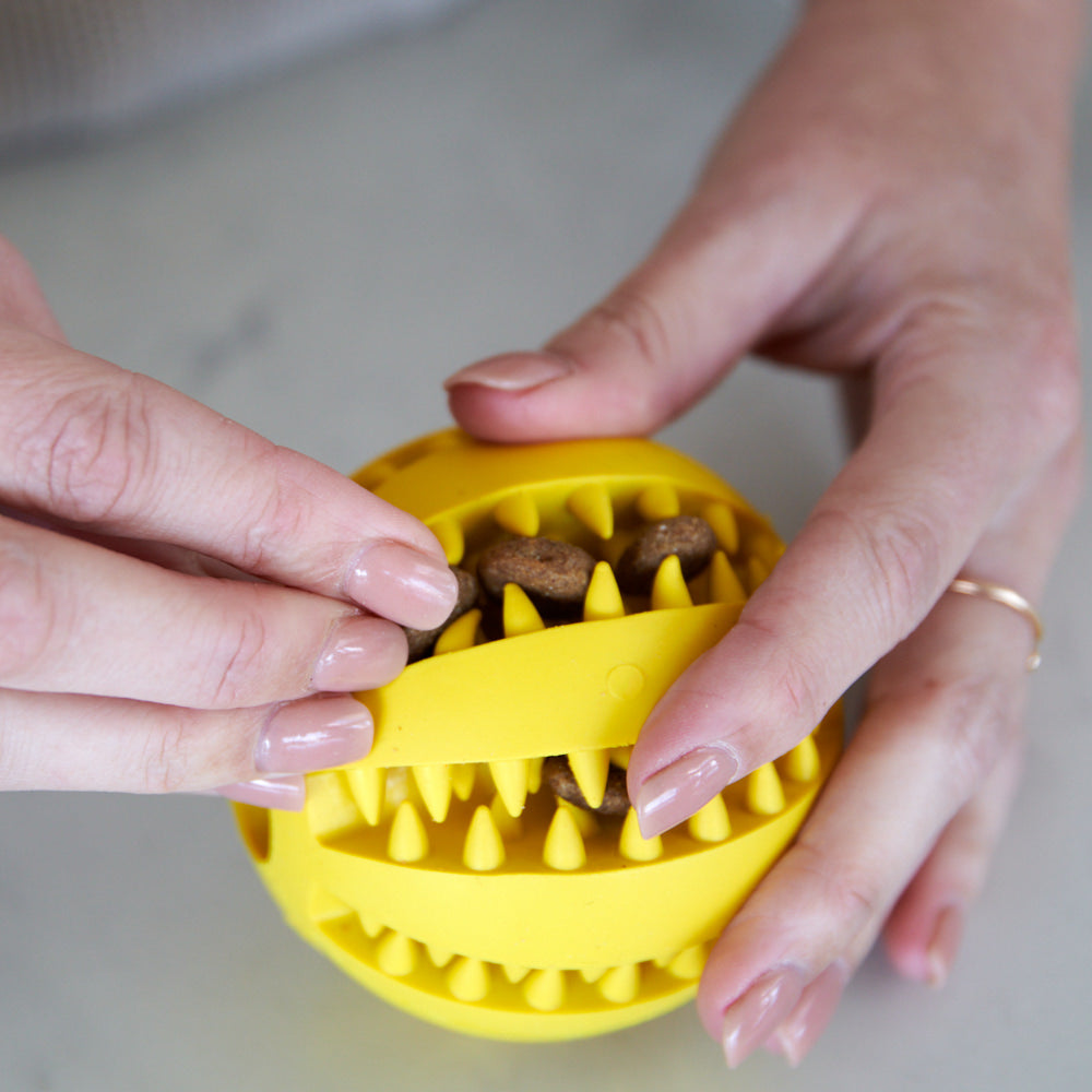 Treat Dispenser Dog Chew Ball