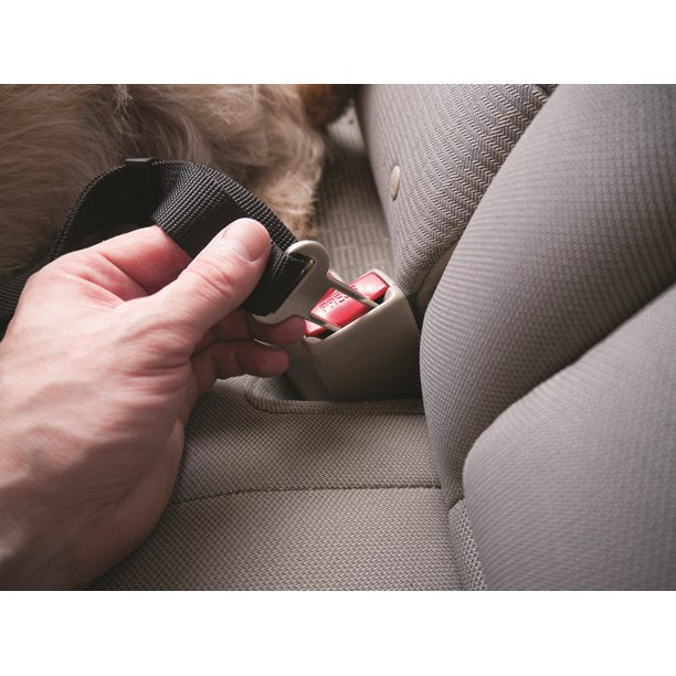 Dog Seat Belt