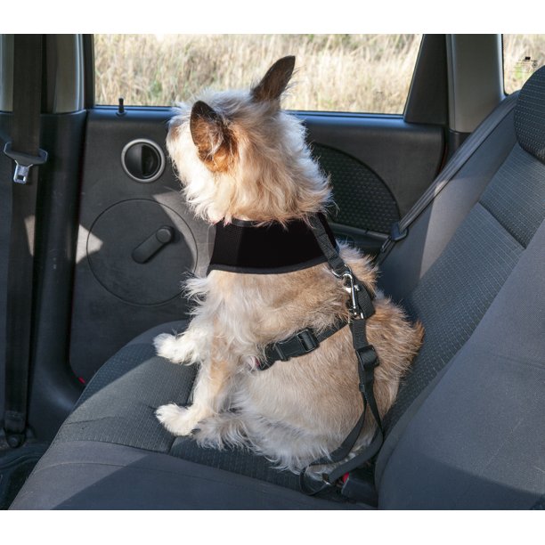 Dog Seat Belt