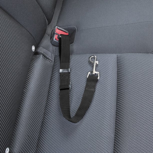 Dog Seat Belt