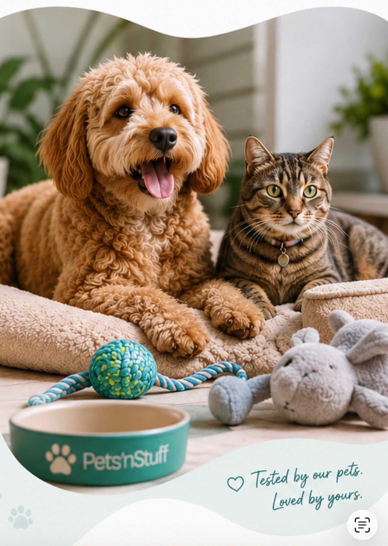 petsnstuff.com.au
