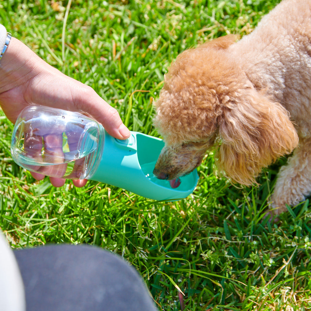 
                  
                    Portable Pet Water Bottle
                  
                